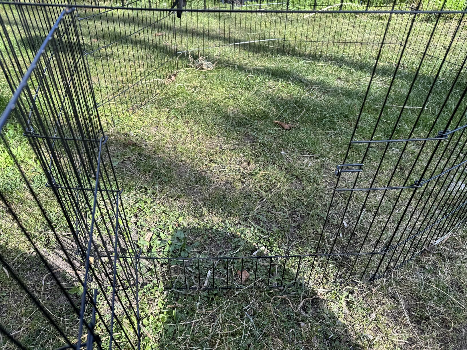 Perfekter Auslauf für unsere Meerschweinchen