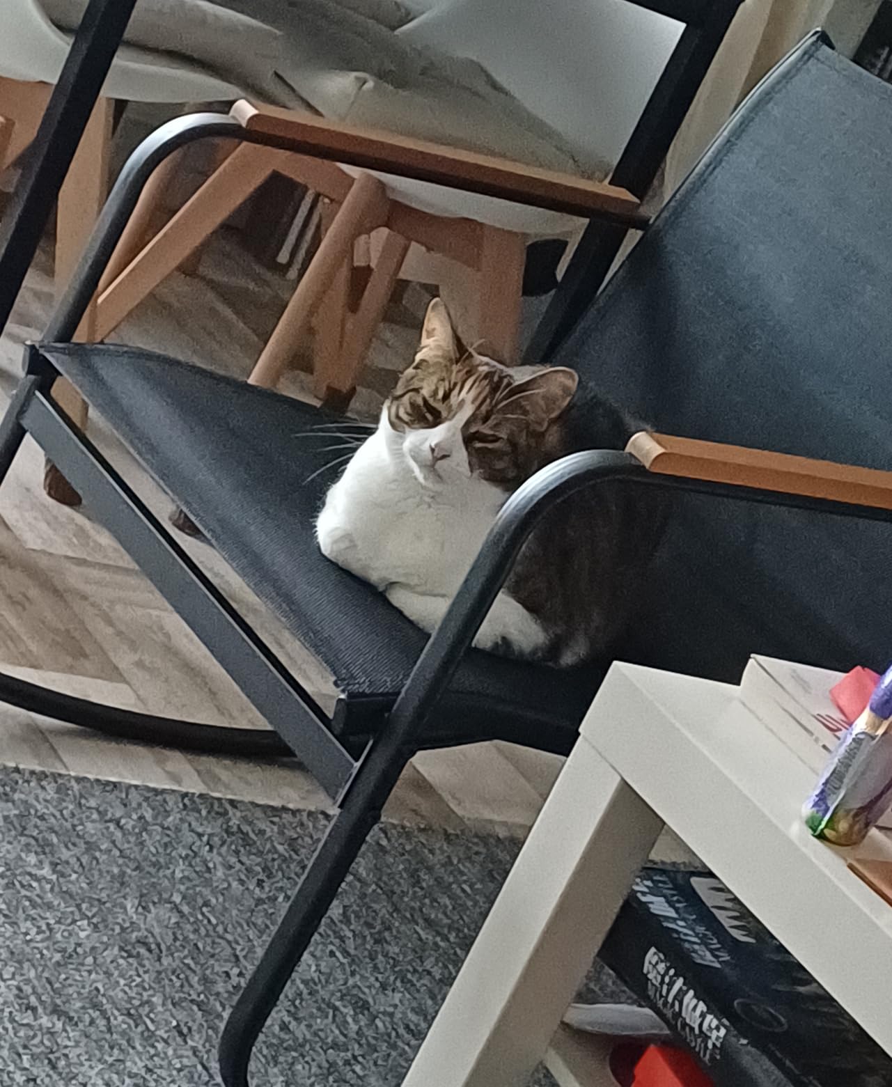 Perfekt für unseren kleinen Balkon