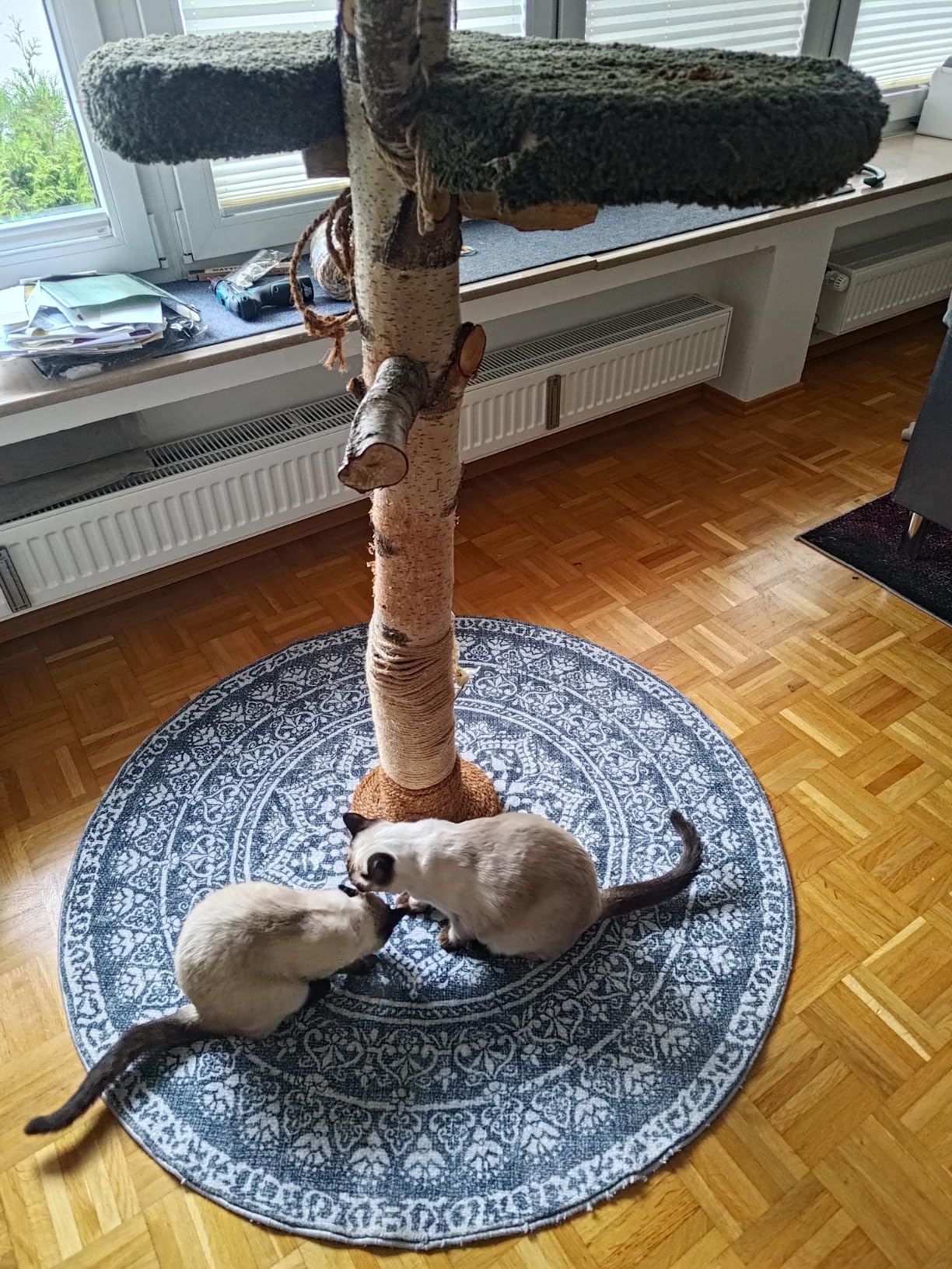 Gemütlich im Schlafzimmer