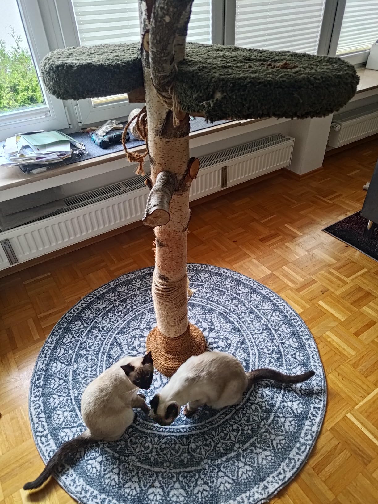 Pflegeleicht