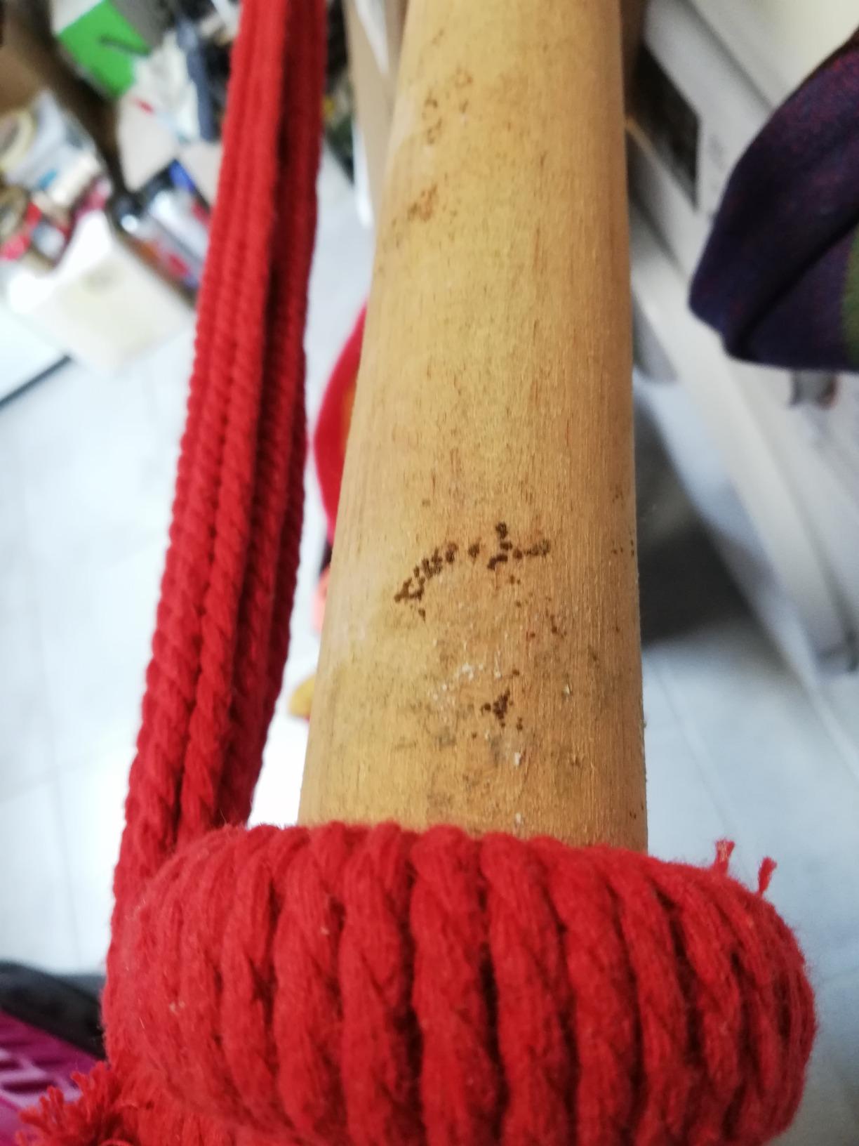 Schön aber wackelig am Anfang