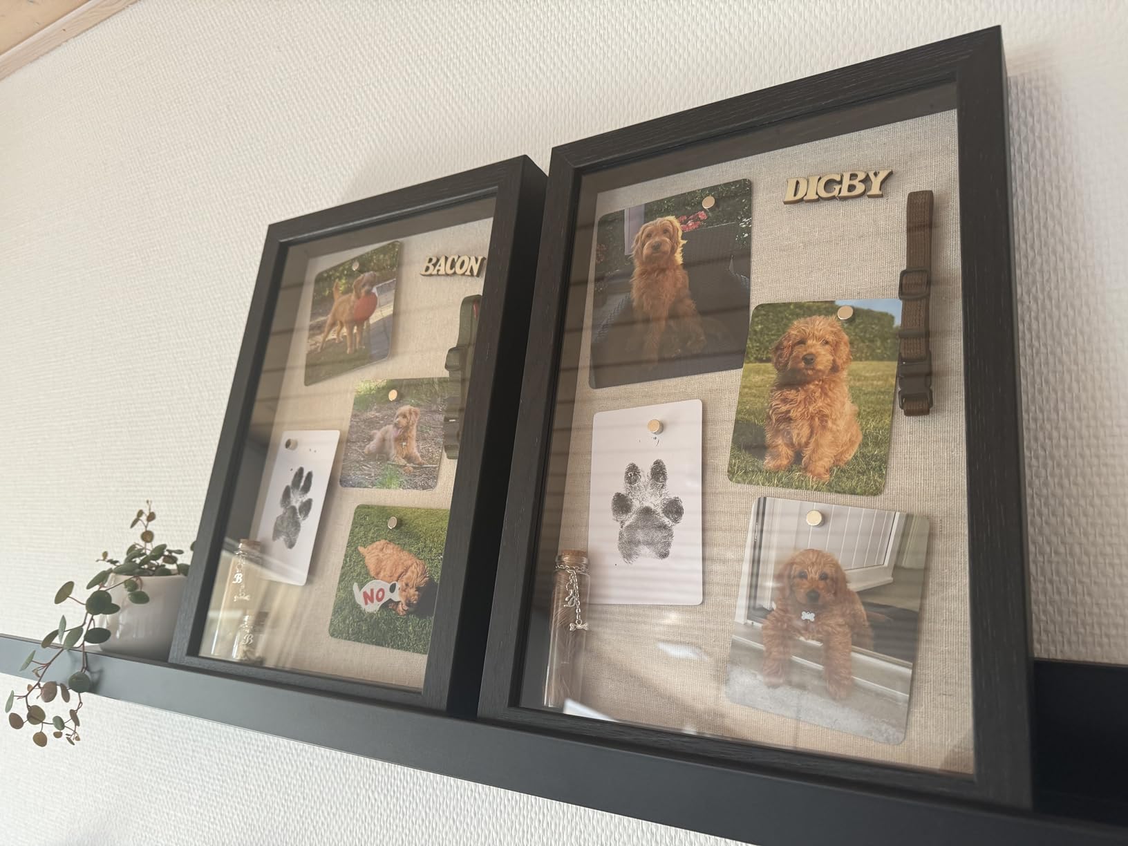 Sieht richtig edel aus an der Wand