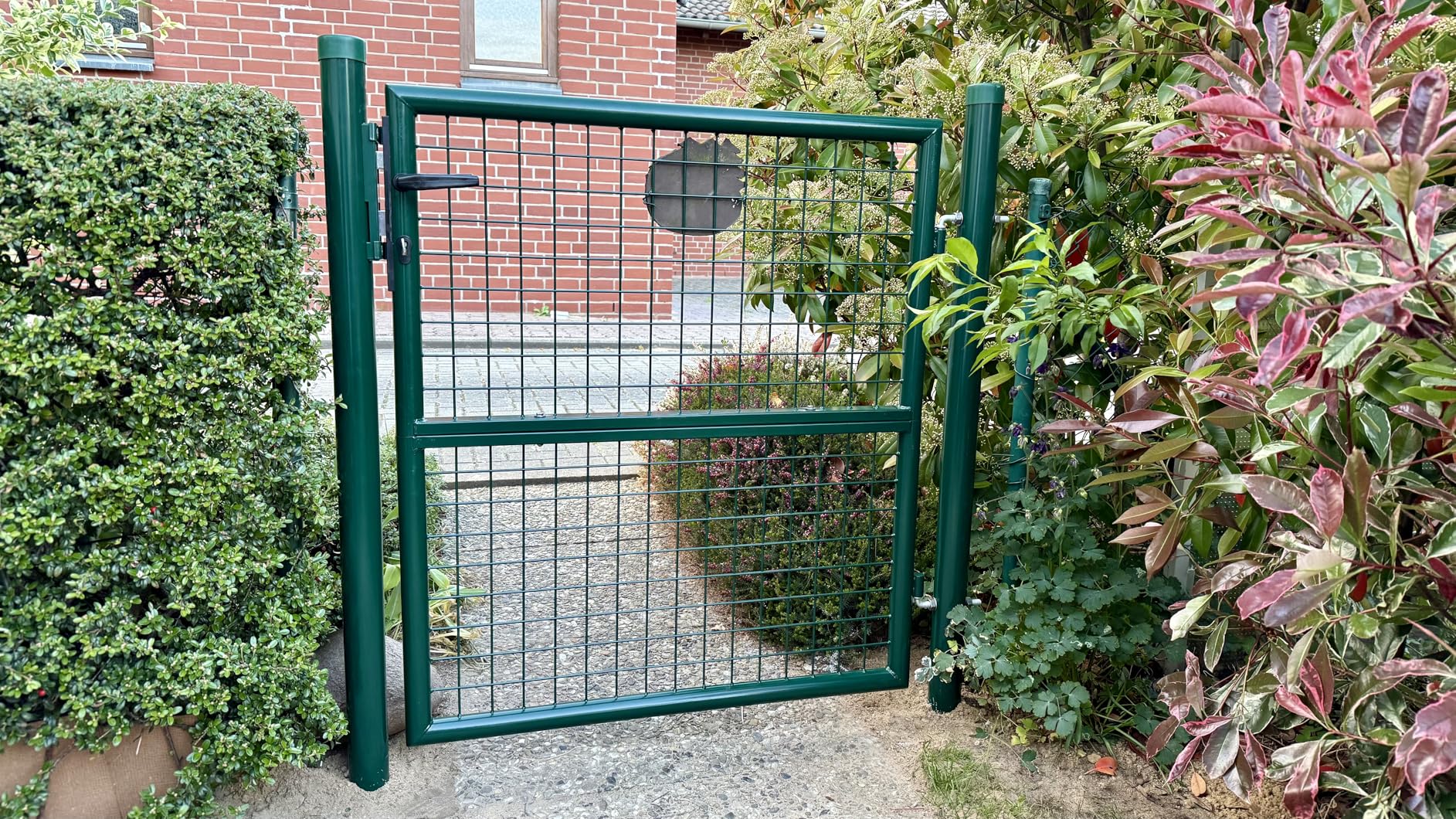 Schöne grüne Farbe