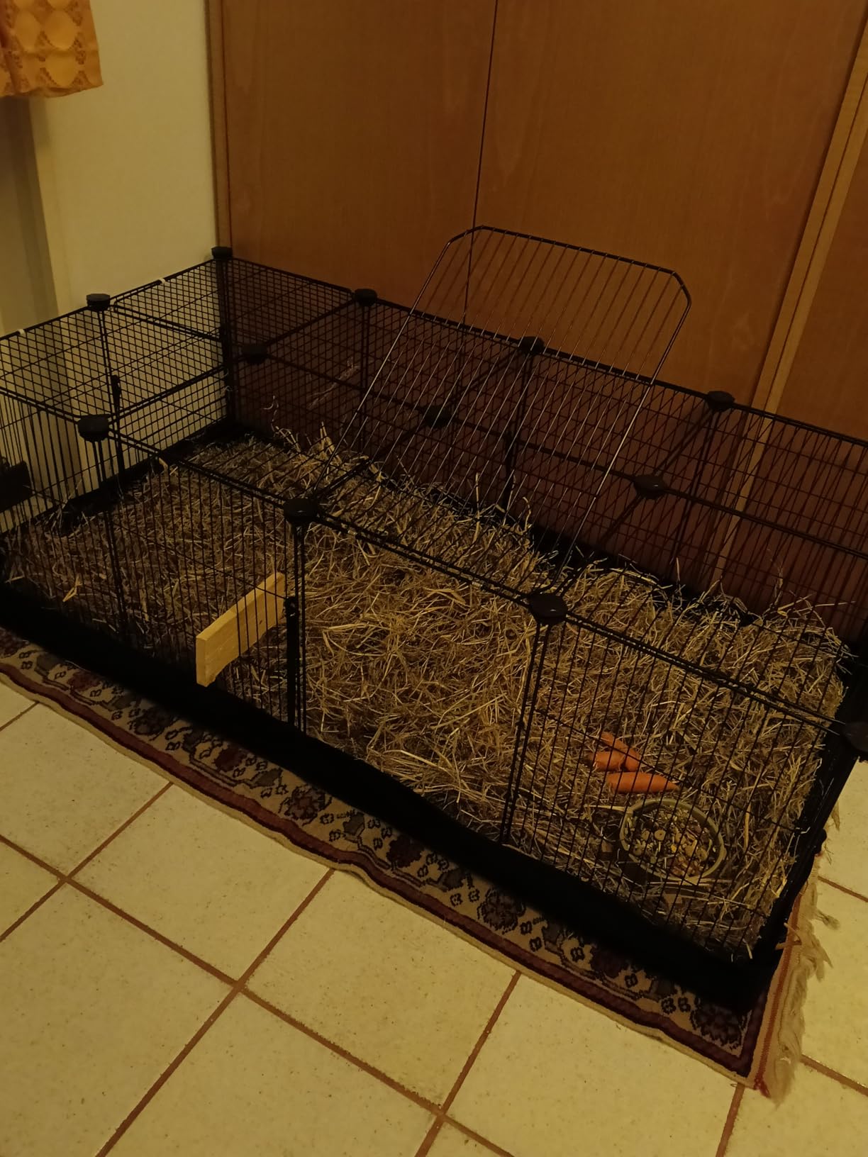 Unsere Kaninchen lieben es