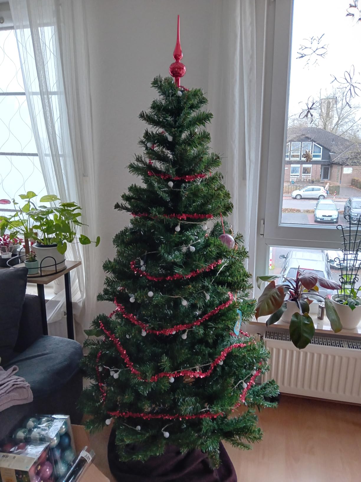 Schöner voller Baum