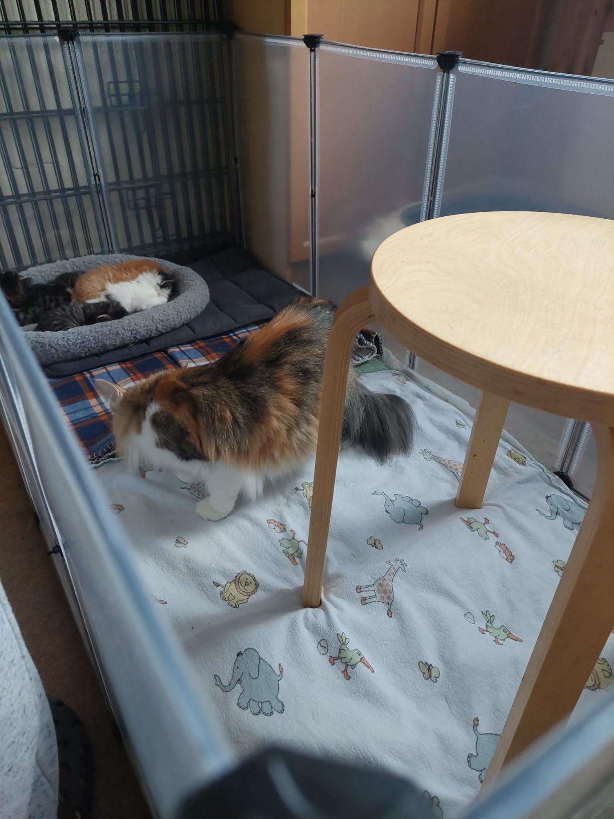 Endlich genug Platz