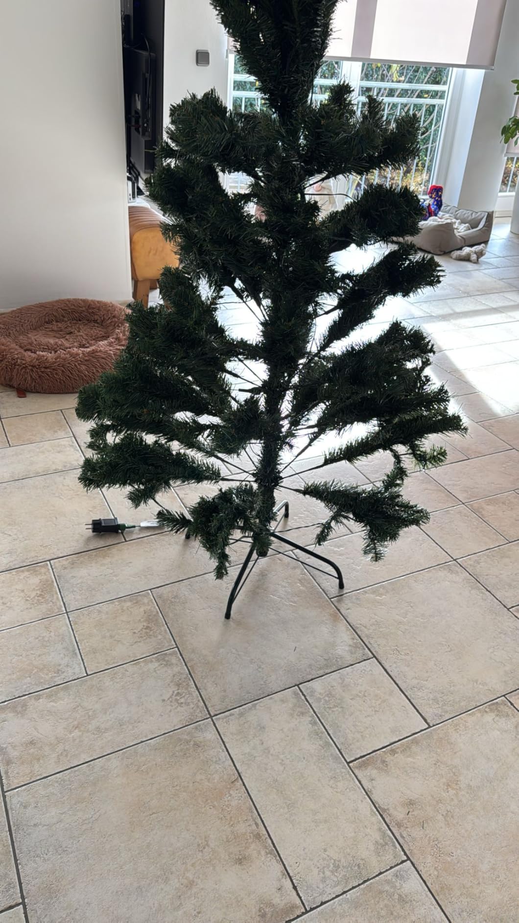 Schöner Baum, Aufstellen braucht Geduld