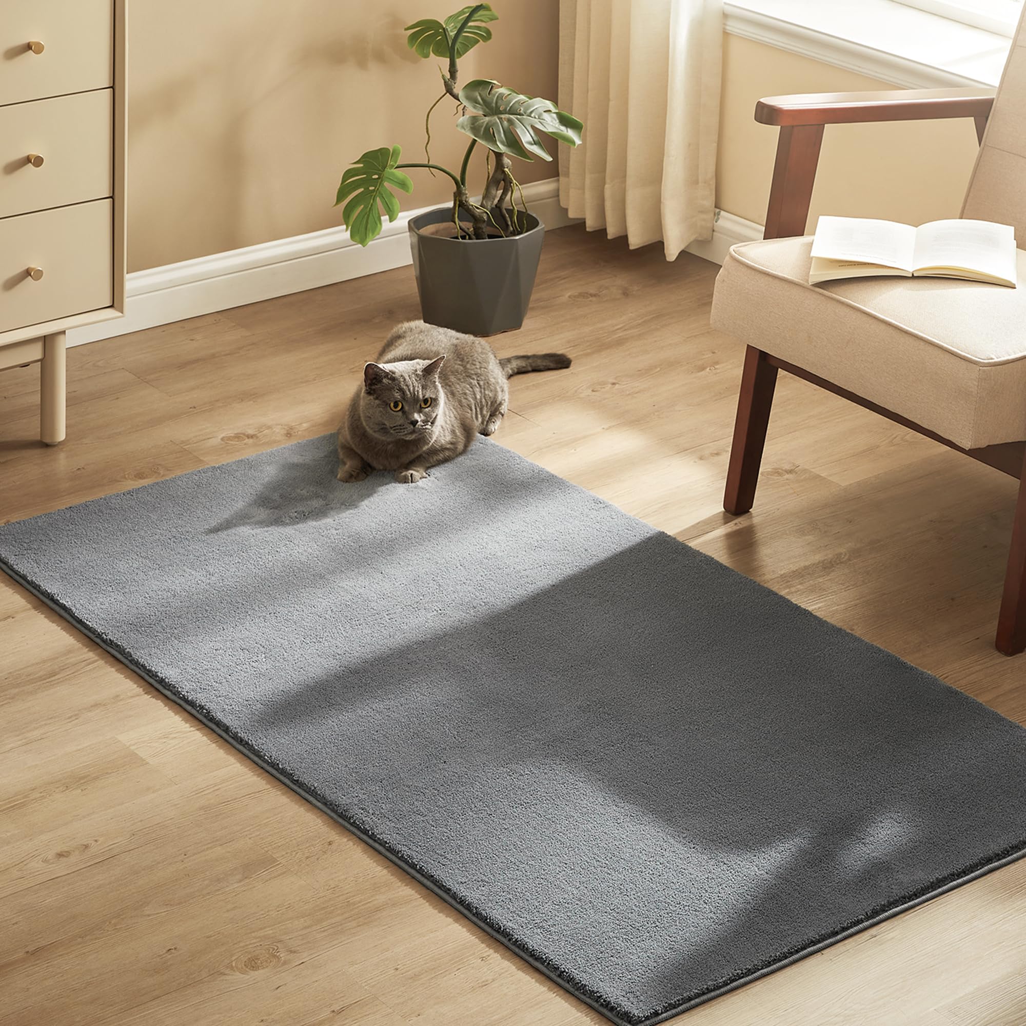 songmics-teppich-80-x-150-cm-rutschfest-maschinenwaschbar-taubengrau-tar011g01 image 1