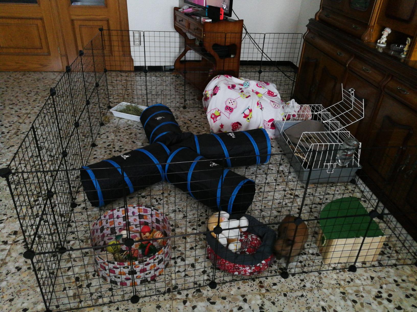 Paradies für unsere Meerschweinchen